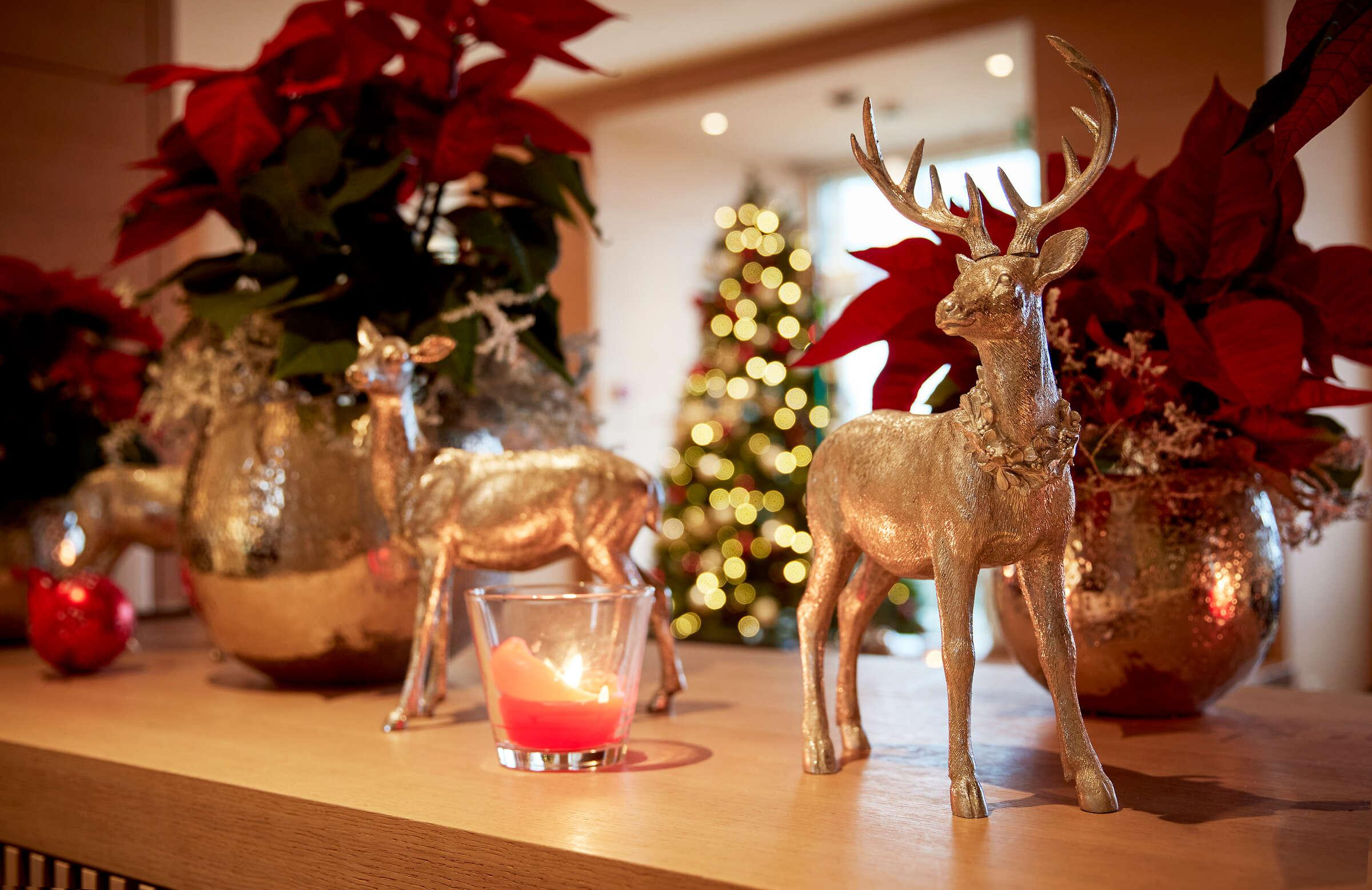 <p>Ein traumhafter Ort, mit <br
/>einzigartiger Weitsicht</p>