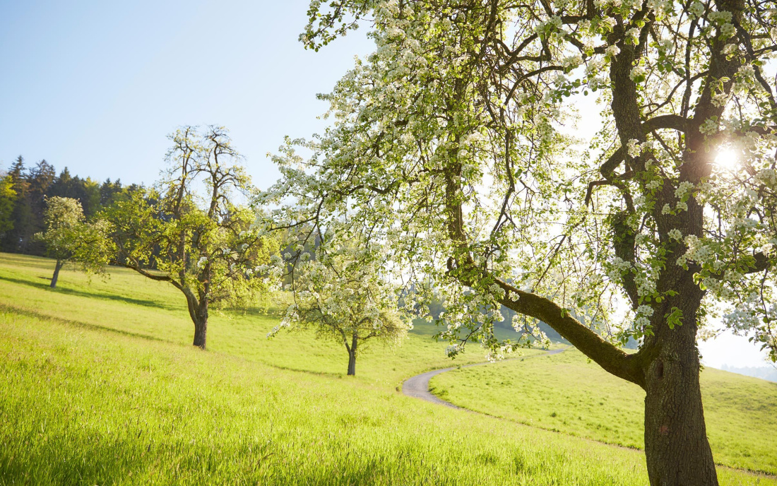 Klangvolle Frühlingszeit