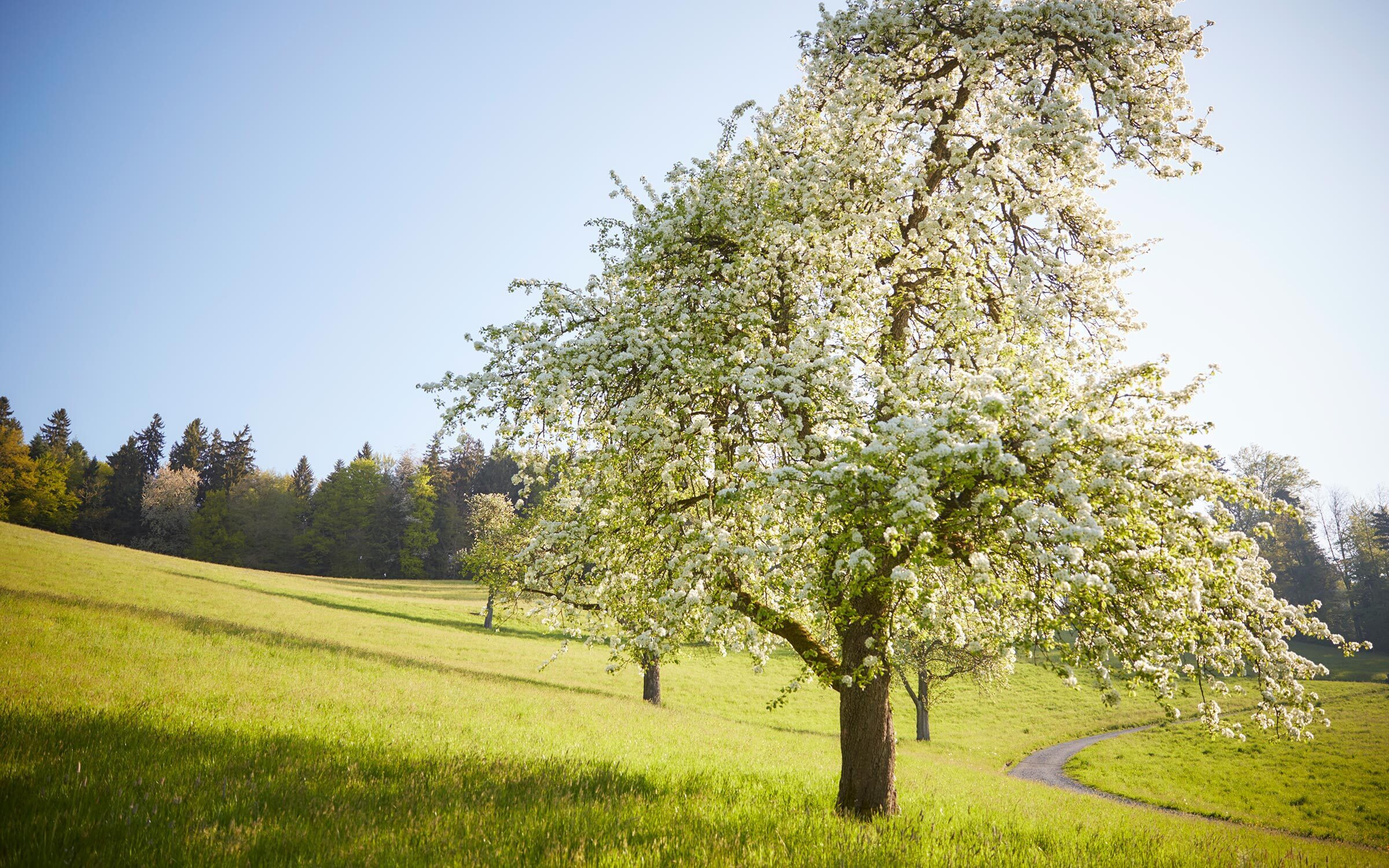 <p>Ein traumhafter Ort, mit <br
/>einzigartiger Weitsicht</p>