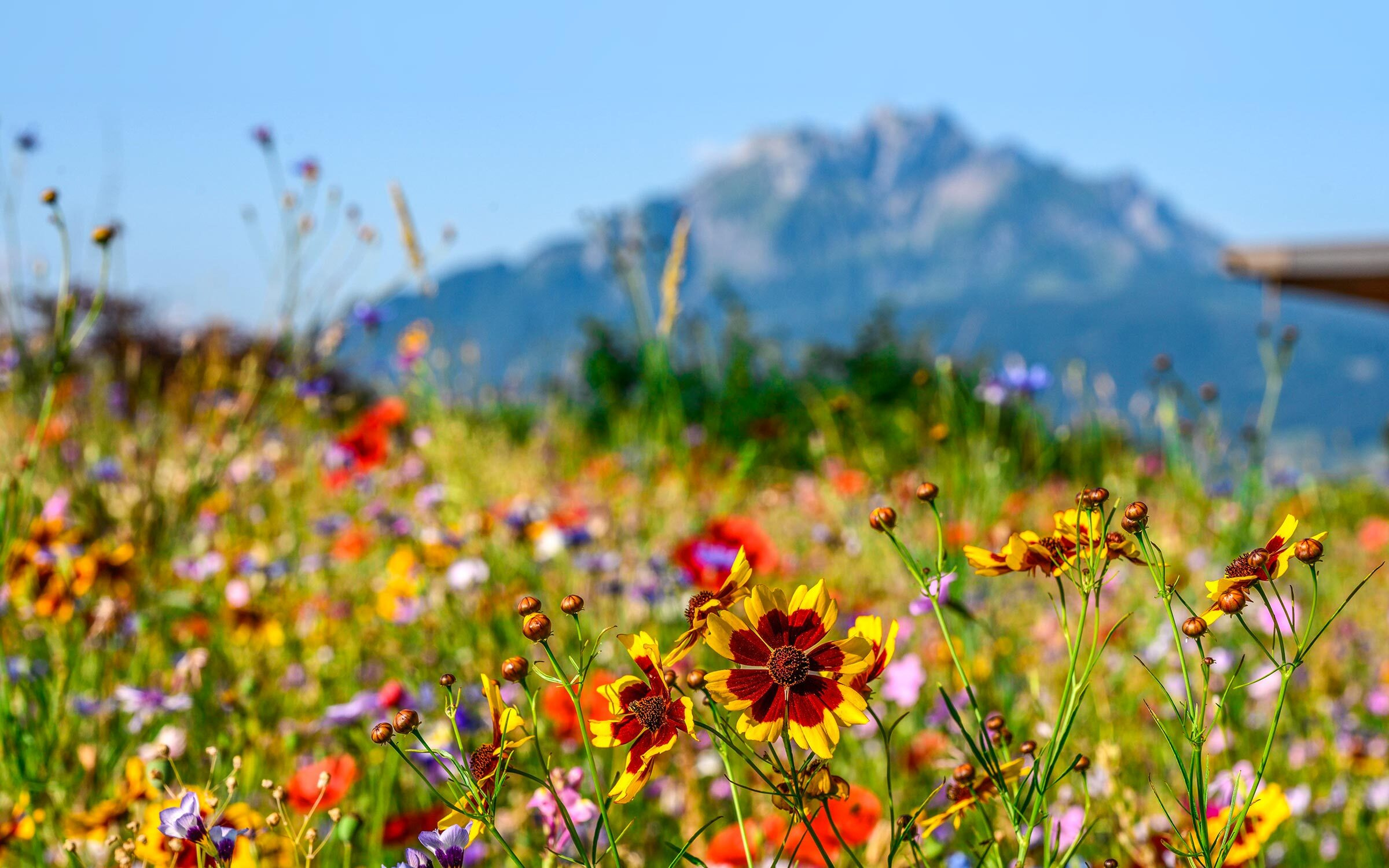 <p>Ein traumhafter Ort, mit <br
/>einzigartiger Weitsicht</p>