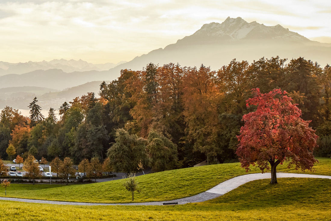 Herbstzauber entdecken